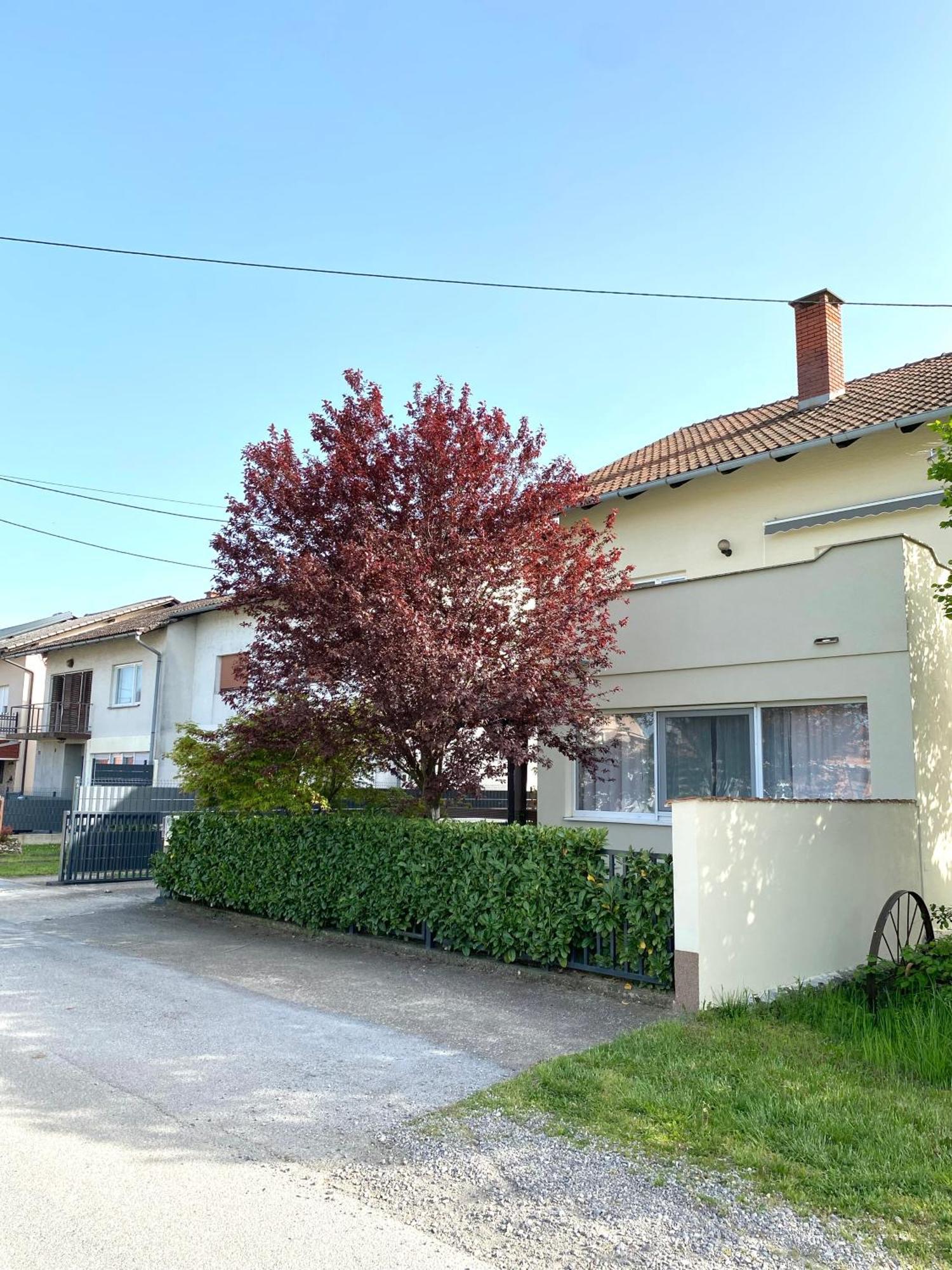 Apartman Lucija Gradici ภายนอก รูปภาพ